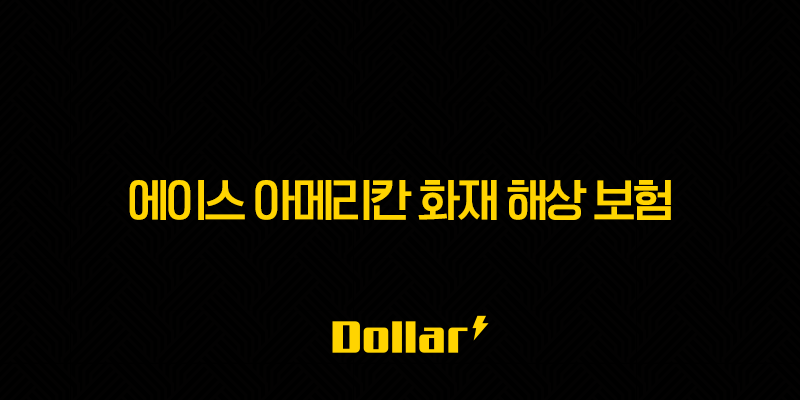 2025년 에이스 아메리칸 화재 해상 보험 완전 정복(+ 15가지 핵심 정보와 가입 가이드) 13 image 112