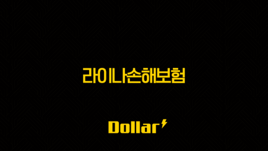 2025년 라이나손해보험(+ 고객님을 위한 맞춤형 보험 솔루션) 49