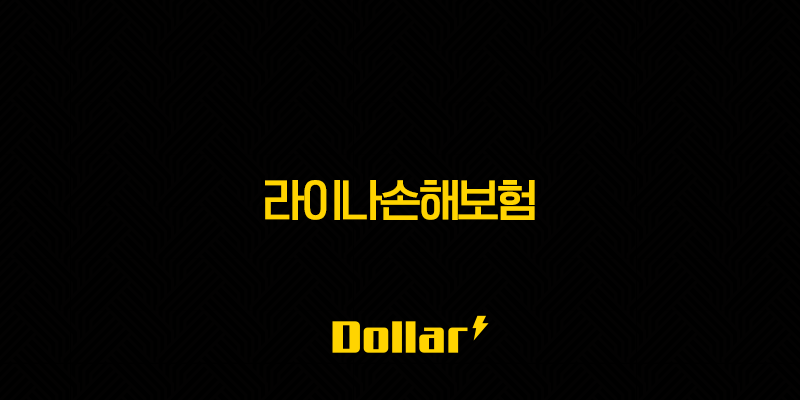 2025년 라이나손해보험(+ 고객님을 위한 맞춤형 보험 솔루션) 13 image 119