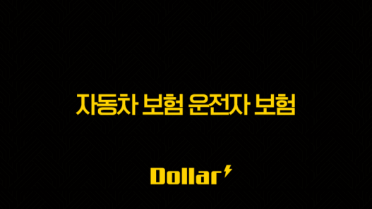2025년 자동차 보험 운전자 보험, 완벽 비교 가이드(+ 핵심 차이점과 가입 요령) 25