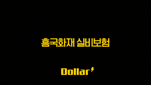 흥국화재 실비보험(+ 2025년 최신 청구 방법 및 필요 서류 완벽 가이드) 53