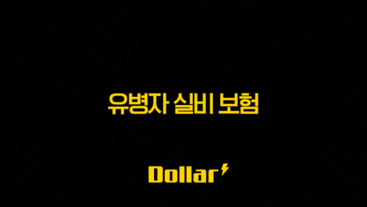 유병자 실비 보험의 모든 것(+ 2025년 최신 정보와 가입 가이드) 41