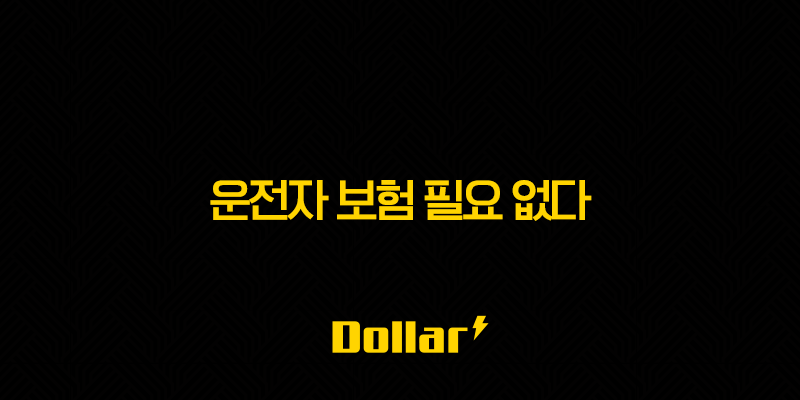 운전자 보험 필요 없다(+ 2025년 최신 정보와 함께 꼼꼼하게 따져보기) 26 운전자 보험 필요 없다(+ 2025년 최신 정보와 함께 꼼꼼하게 따져보기) 25