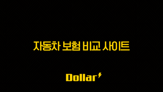 2025년 자동차 보험 비교 사이트 이용 가이드(+ 내게 맞는 보험, 쉽고 빠르게 찾자!) 49