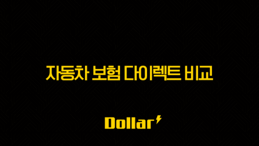 2025년 자동차 보험 다이렉트 비교(+ 꼼꼼하게 따져보고 저렴하게 가입하는 방법) 25