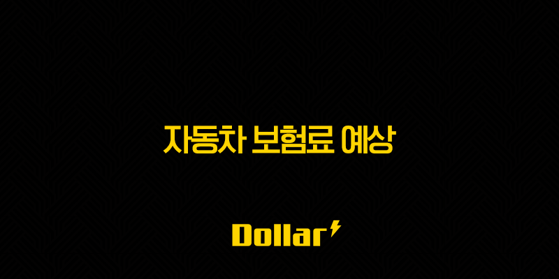 2025년 자동차 보험료 예상(+ 나이, 차종, 운전 경력별 맞춤 정보와 할인 꿀팁) 13 image 183