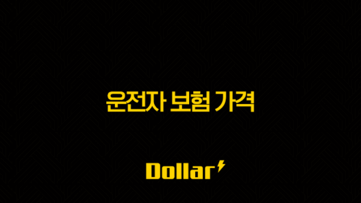 2025년 운전자 보험 가격 총정리 및 가입 29