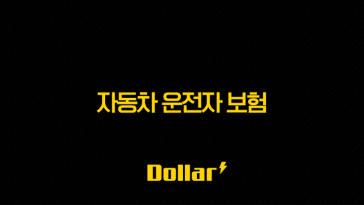 2025년 자동차 운전자 보험 완벽 가이드(+ 핵심 보장, 비교, 추천, 필수 정보) 33