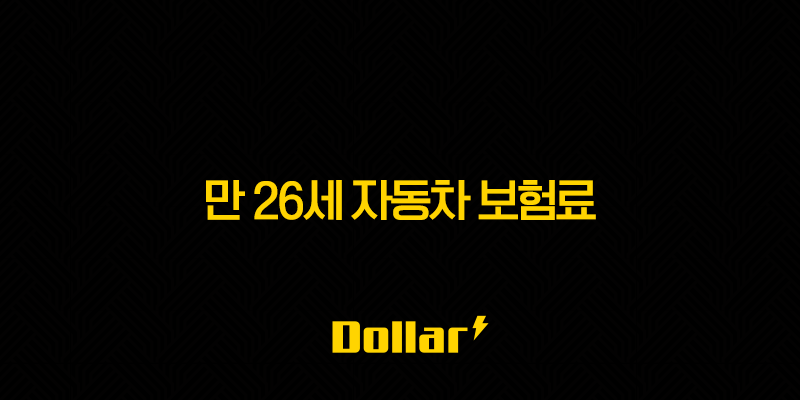 2025년 만 26세 자동차 보험료(+ 폭탄 피하는 법) 13 image 195