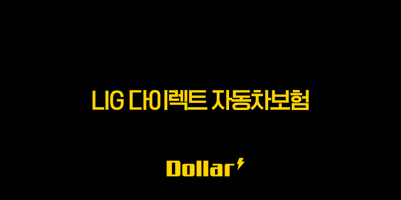 LIG 다이렉트 자동차보험(+ 2025년 현명한 선택을 위한 완벽 가이드) 13 image 26