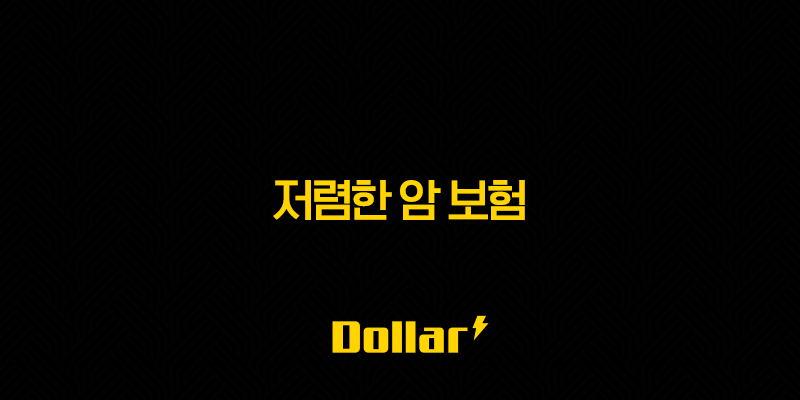 저렴한 암 보험(+ 2025년 가성비 좋은 암보험 비교 및 선택 가이드) 13 image 33