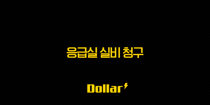 응급실 실비 청구 2025년 완벽 가이드(+ 필요 서류부터 보험 적용 기준까지) 13 image 60