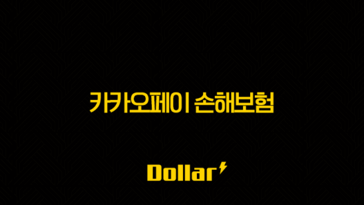 카카오페이 손해보험 2025(+ 간편하게, 든든하게 내 보험을 책임지다!) 57