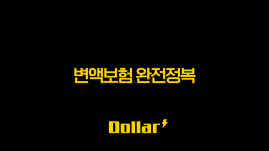 변액보험 완전정복(+ 2025년 가입자를 위한 필수 가이드와 핵심 질문 7가지) 53