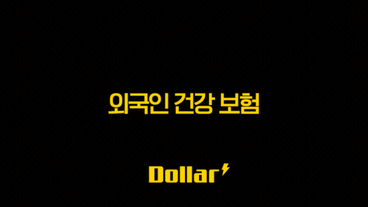 외국인 건강 보험의 모든 것(+ 2025년 가입 조건, 절차, 비용 완벽 분석) 33