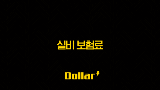 2025년 실비 보험료 : 총정리 및 인상 요인 분석 - 10가지 핵심 정보 33