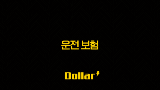 2025년 운전 보험( 종류, 가격 비교, 나이, 하루, 당일 가입, 가족, 디시 후기) 25