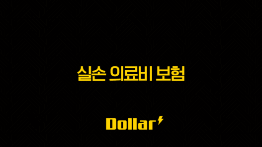 2025년 실손 의료비 보험(+ 가입 전 꼭 알아야 할 10가지 핵심 정보와 최신 비교 분석) 37