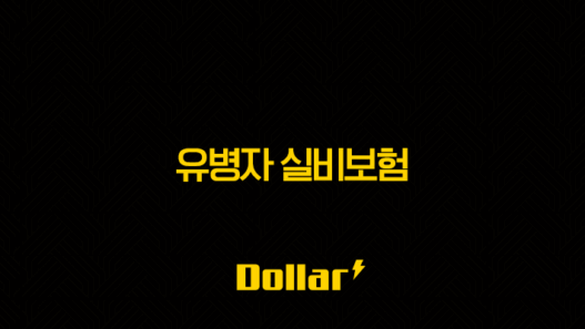 2025년 유병자 실비보험(+ 가입 조건, 보장 범위, 보험료 비교, 핵심 Q&A 10가지) 33