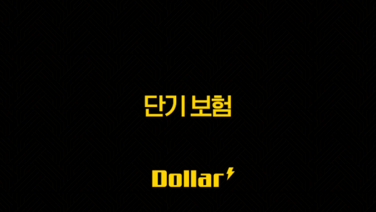 단기 보험, 2025년 나에게 딱 맞는 단기 보험 활용법 49