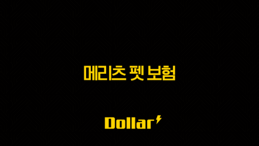 2025년, 꼼꼼하게 알아보는 메리츠 펫 보험의 모든 것 - 우리 댕냥이를 위한 현명한 선택 45