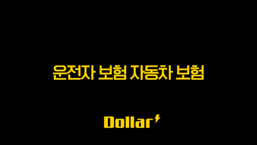 2025년 운전자 보험 자동차 보험의 차이점, 중복 여부, 특약 심층 분석 33