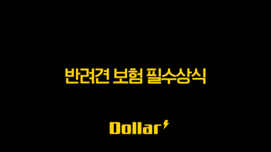 2025년 반려견 보험 필수상식(+ 우리 댕댕이를 위한 맞춤형 반려견 보험 가이드) 25