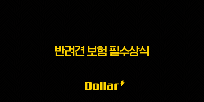 2025년 반려견 보험 필수상식(+ 우리 댕댕이를 위한 맞춤형 반려견 보험 가이드) 13 image 143