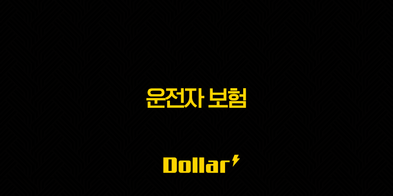 2025년 운전자 보험 필수인가? 핵심 항목과 필요성에 대한 심층 분석 13 image 146