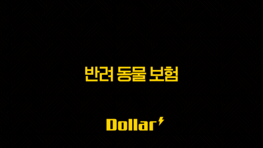 2025년, 반려 동물 보험, 똑똑한 반려생활 - 펫보험의 모든 것 45