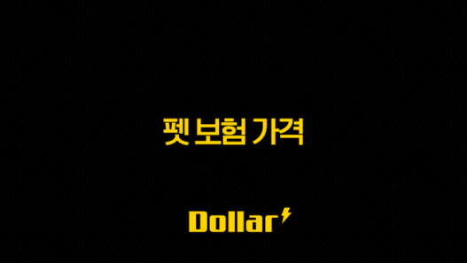 2025년 펫 보험 가격 꼼꼼 비교(+ 나에게 딱 맞는 펫 보험 가격, 핵심 정보부터 숨겨진 꿀팁까지) 37