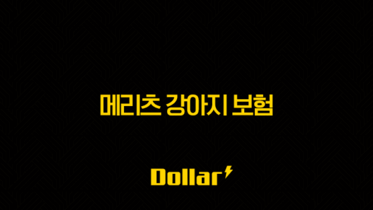 2025년 메리츠 강아지 보험 우리 댕댕이를 위한 현명한 선택(+ 메리츠 강아지 보험 완벽 분석) 25