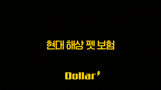 2025년 현대 해상 펫 보험 안심하고 댕냥이 맡기세요(+ 현대 해상 펫 보험 완벽 분석!) 49