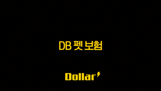 2025년 DB 펫 보험 안심하고 반려생활 함께하기(+ DB 펫 보험 완전 분석) 33
