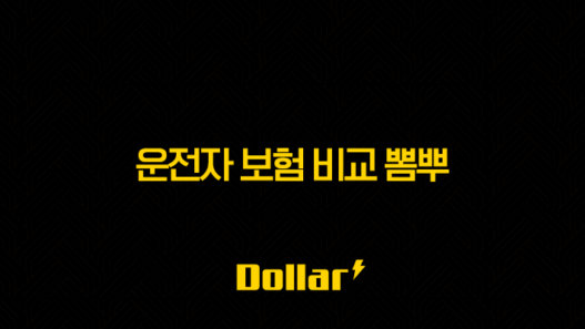 2025년 운전자 보험 비교 뽐뿌(+ 최신 정보와 가입 꿀팁 총정리!) 33