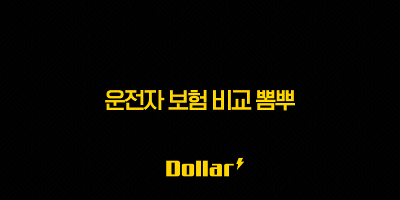 2025년 운전자 보험 비교 뽐뿌(+ 최신 정보와 가입 꿀팁 총정리!) 13 image 2