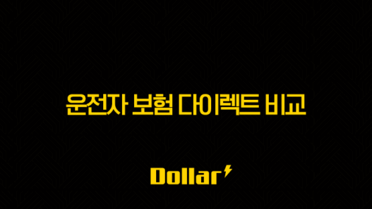 2025년 운전자 보험 다이렉트 비교(+ 꼼꼼하게 따져보고 내게 맞는 보험 찾기) 25