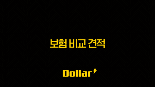 2025년 보험 비교 견적 - 총정리 및 완벽 가이드 (사이트, 자동차, 운전자, 암, 실비) 45