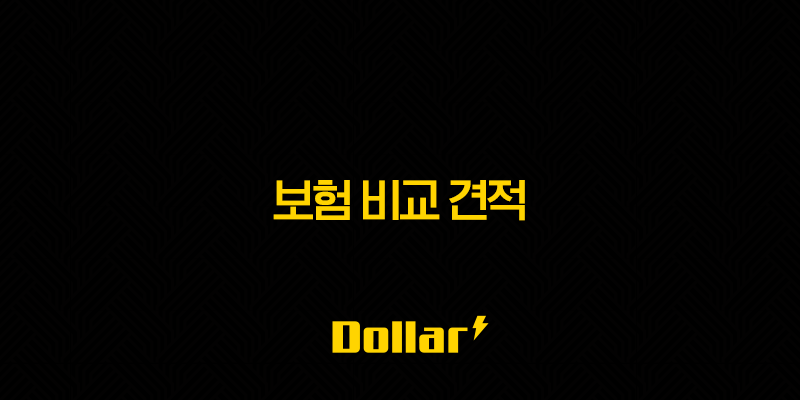 2025년 보험 비교 견적 - 총정리 및 완벽 가이드 (사이트, 자동차, 운전자, 암, 실비) 13 image 25