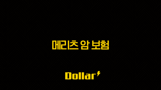 2025년 메리츠 암 보험 - 가입 후기부터 다이렉트, 보장 내용, 광고 분석까지 총정리 49