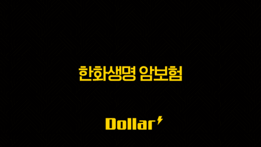 2025년 한화생명 암보험(+ 10가지 상품 상세 비교 및 최신 트렌드 분석) 45