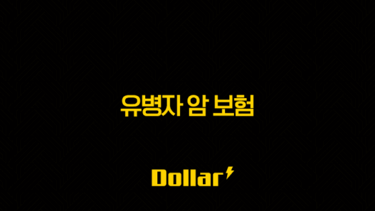 2025년 유병자 암 보험(+ 가입 조건, 가격 비교, 추천) 29