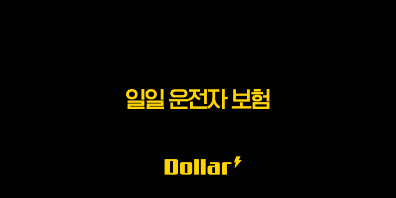 2025년 일일 운전자 보험 : 완벽 가이드(+ 10가지 핵심 정보와 가격 비교) 13 image 60