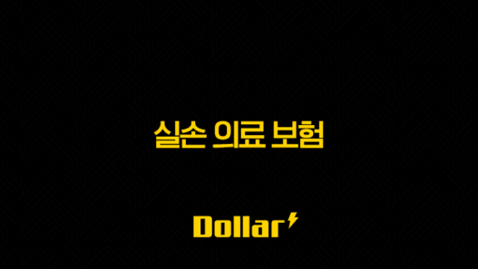 2025년 실손 의료 보험(+ 꼭 알아야 할 변경 사항) 45