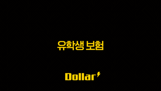 유학생 보험 : 2025년 유학 준비를 위한 완벽 가이드 - 종류, 추천, 비교, 비용, FAQ 41