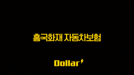 흥국화재 자동차보험(+ 2025년 최신 정보 및 완벽 분석) 53