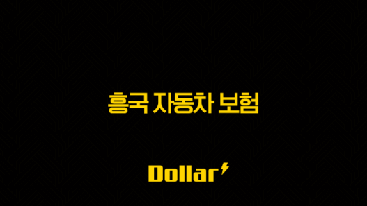 흥국 자동차 보험(+ 2025년 최신 정보와 후기, 전화번호 총정리) 41