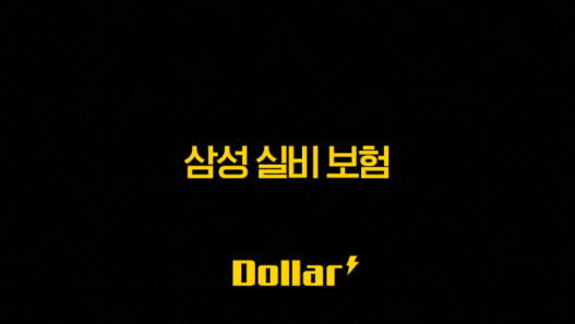 삼성 실비 보험 : 2025년 가입, 청구, 서류, 방법 완벽 가이드 - 100세 시대 필수템 49