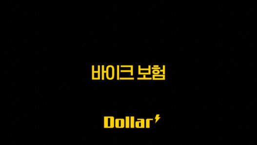 2025년 바이크 보험 완벽 가이드 - 종류, 가격, 꿀팁, 디시 추천 총정리 33