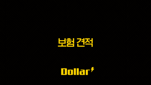 2025년 보험 견적 완전 정복, 나에게 맞는 보험 찾기(+ 10가지 핵심 정보) 41